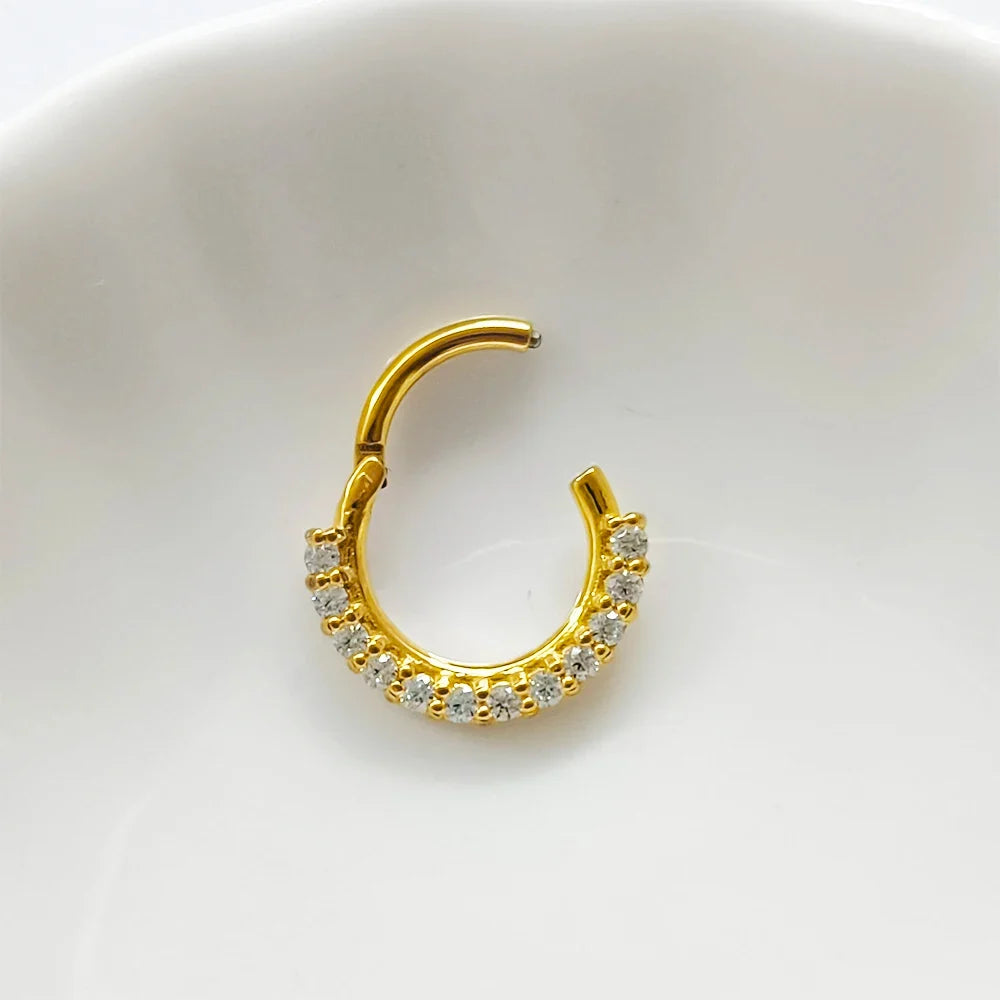 316L Surgical Steel Segment Nose Ring Zircon Septum Clicker Ear Cartilage Helix Daith Hoop Body  Piercing Jewelry
