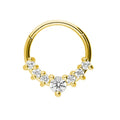 316L Surgical Steel Segment Nose Ring Zircon Septum Clicker Ear Cartilage Helix Daith Hoop Body  Piercing Jewelry