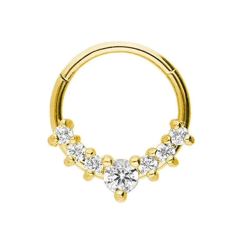 316L Surgical Steel Segment Nose Ring Zircon Septum Clicker Ear Cartilage Helix Daith Hoop Body  Piercing Jewelry